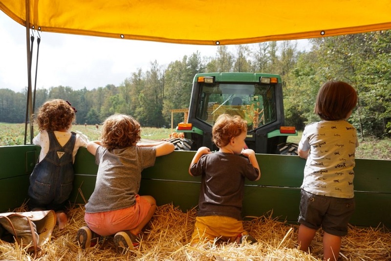 Thing To Do Family Fun